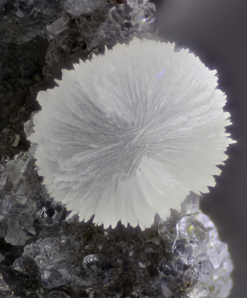 thomsonite 987-41-107           c 2mm.jpg
