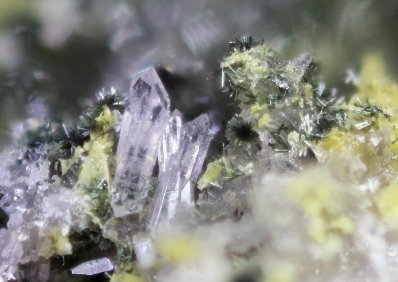 champ 2mm
Donateur : René Bierce 103095 Scorodite, Kidwellite Montmins chp2.jpg