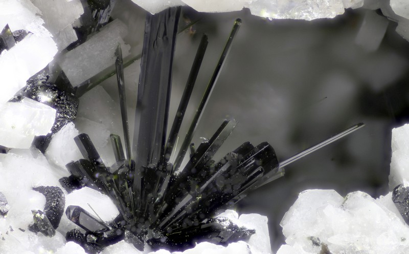 aegirine 974-221-10           cv 3mm.jpg