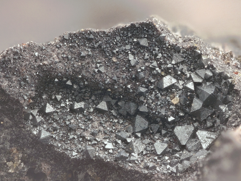 Magnetite_Bizac_LeBrignon_HauteLoire_MB_champ4mm.jpg