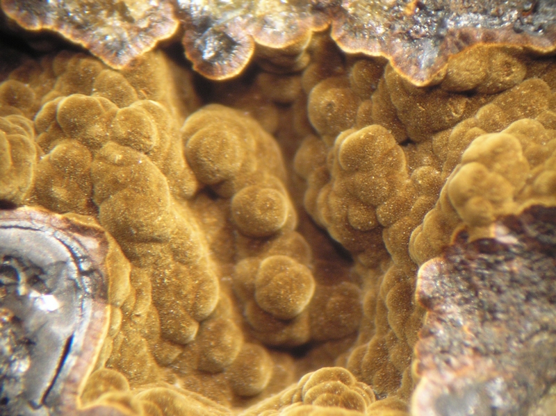Goethite - Monthaut - Palairac - Aude 