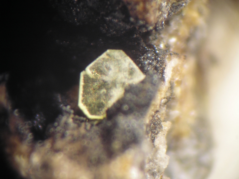 Autunite - Collioure - Massif des Albères - Pyrénées-Orientales