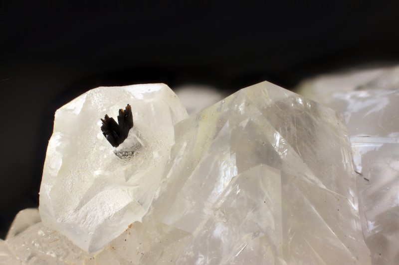 champ 8mm
Donateur : Philippe Berger-Sabatel ENSMP_114005_Goethite_calcite-quartz_Port-en-Bessin_Calvados_champ8mm.jpg