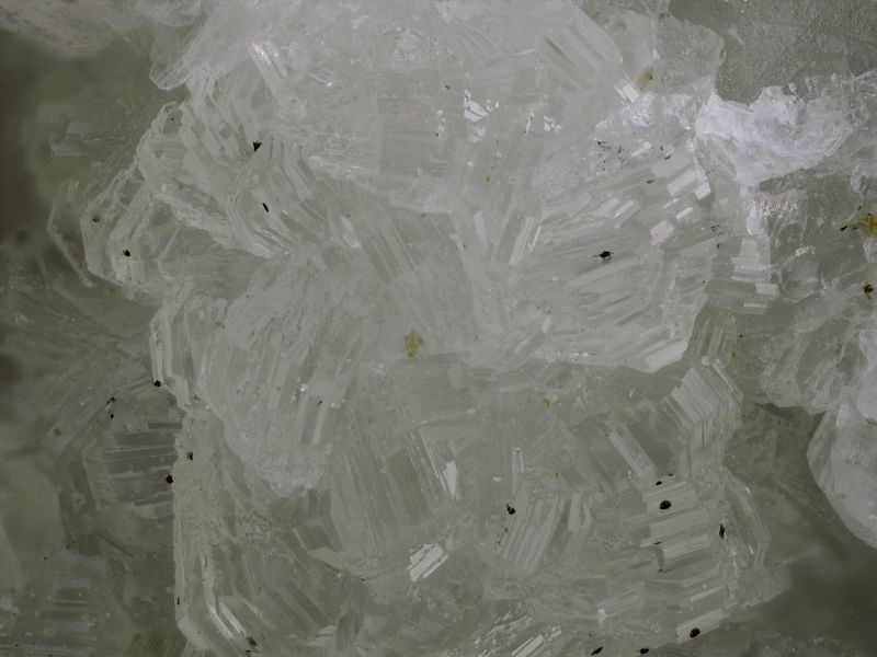 105033-Prehnite Chaillol - chp6mm - AM.jpg