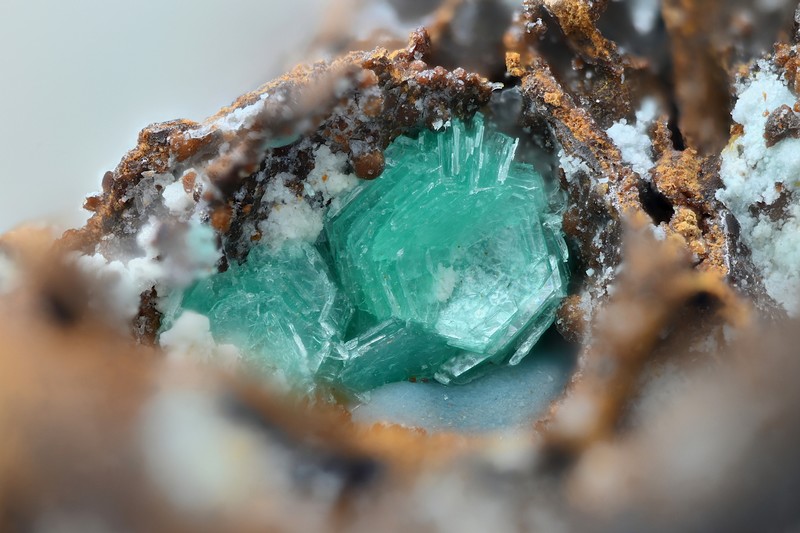 chalcophyllite, le moullinal, tarn, fov 2.2mm.jpg
