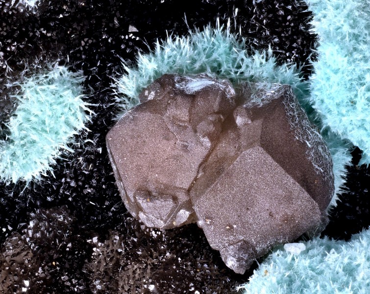 champ 3 mm Cerusite aurichalcite hemimorphite champ 3 mm la vidale.jpg
