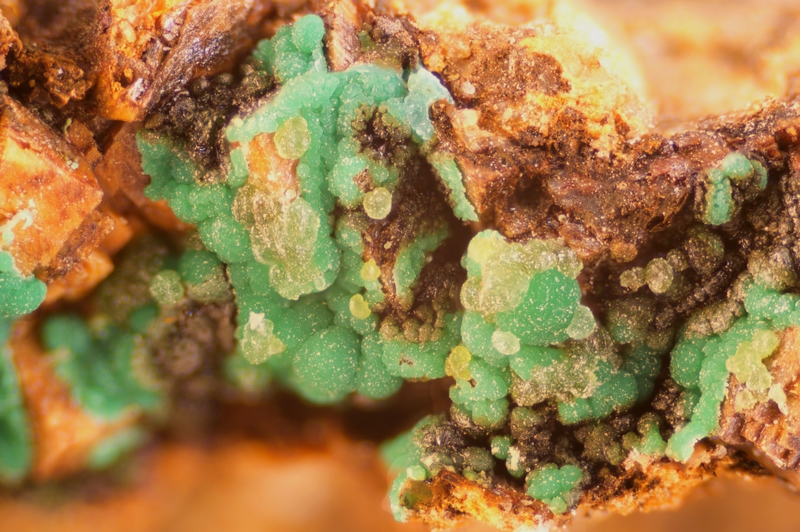 085-429-02 ''Cuprian adamite'' - Hubac de Jourdan (Alpes Maritimes - France) - FOV  - 3.30mm.jpg