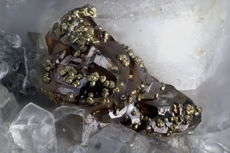 201-487-05 Pyrite - Les Cedres (Gard - France) - FOV 2.09 mm.jpg
