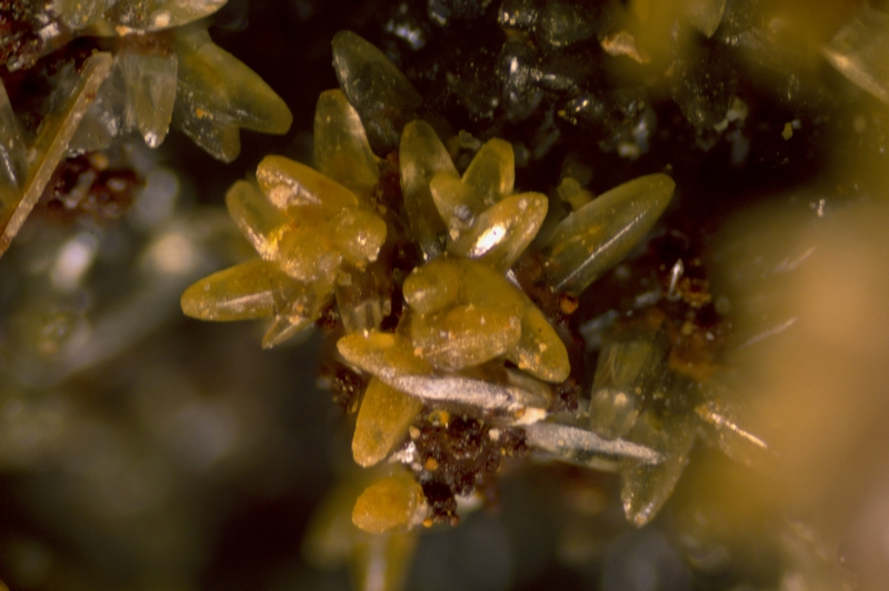 champ 3.58mm 225-1078-02 Smithsonite - Les Vieux Travaux - 30 - FOV 3.58 mm.jpg
