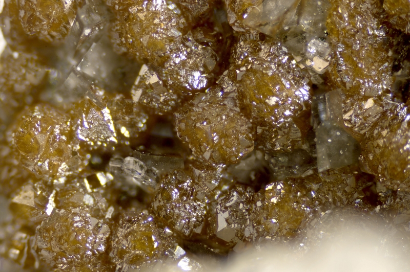 champ 3.52mm 228-1078-07 Sphalerite - Les Vieux Travaux (Gard - France) - FOV 3.52 mm.jpg