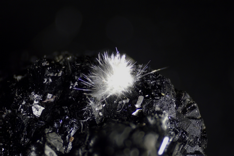 champ 5.80mm 734-1078-01 Halotrichite - Les Vieux Travaux mine (Gard - France) - FOV 5.80 mm.jpg
