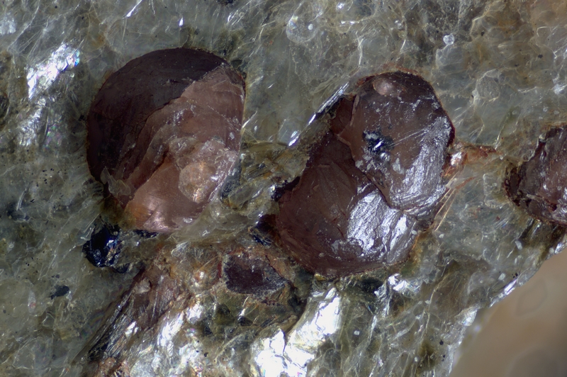 009-1283-02 Almandine - Col du Canadel (Var - France) - FOV 3.61 mm.jpg