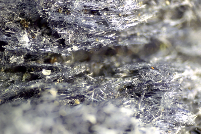 champ 5,80mm 119-1102-04 Glaucophane - Vallon de Clausis (Hautes Alpes - France) - FOV 5.80 mm.jpg