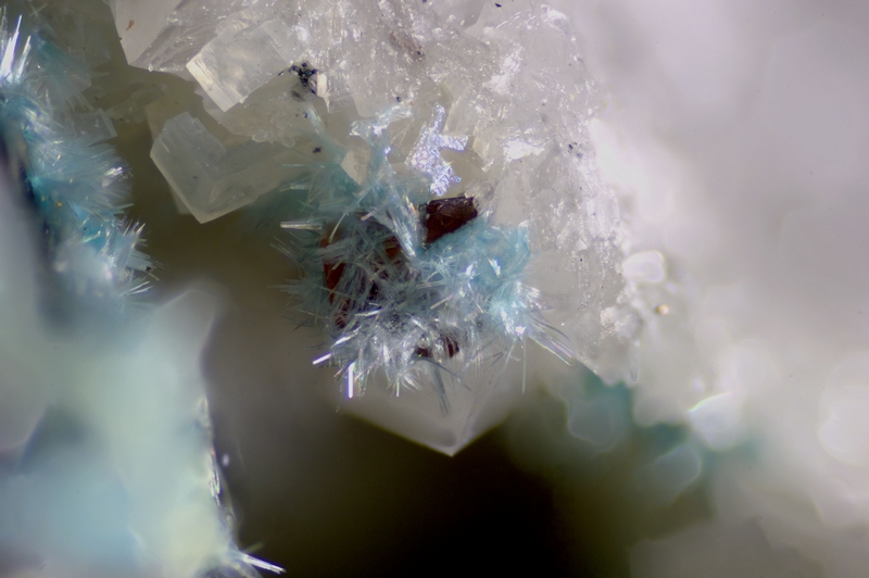 champ 2,62mm 029-1076-05 Aurichalcite - La Sanguinède (Gard - Fance) - FOV 2.62 mm.jpg