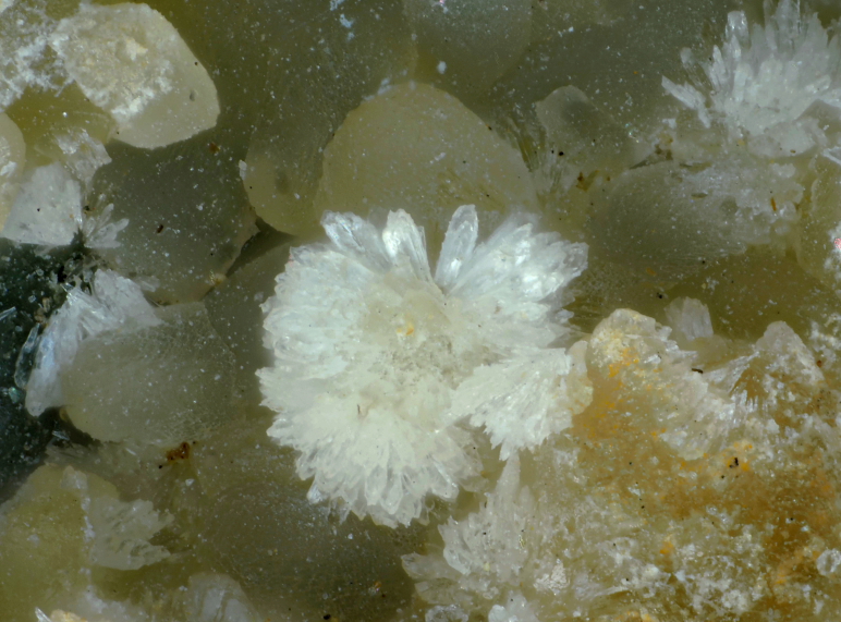 champ 1,7 mm
Donateur : Jean-Pierre Barral 107083- Hémimorphite sur Smithsonite Mine de La Joie Chp 1,7 mm-JPB-LT.JPG