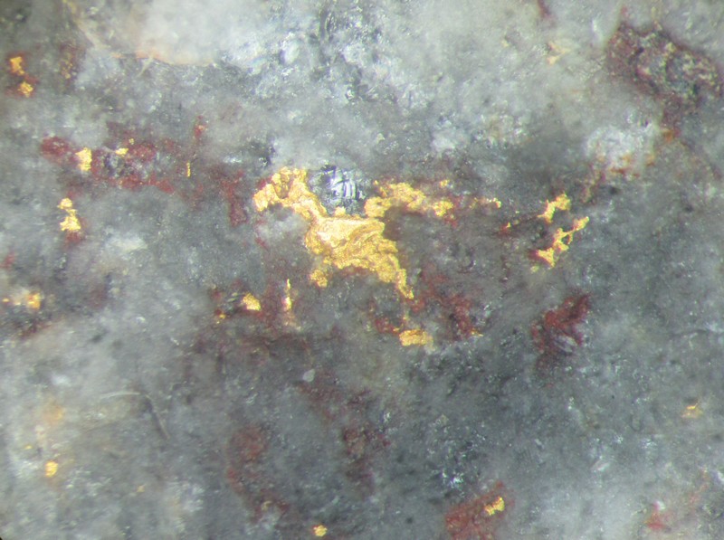 Or natif sur Quartz , Le Sattel , district minier du Silberwald , Stosswihr20mm.jpg