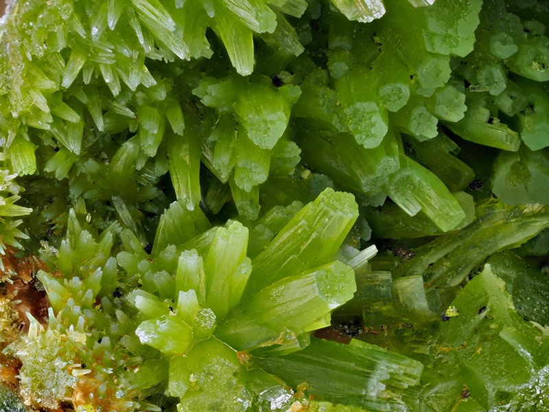 champ 4mm Pyromorphite - Creuzeval - St Didier sur Beaujeu - Rhône champ 4.jpg