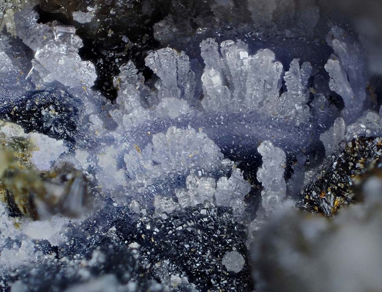 champ 1,2mm Phosphosiderite - Collioure - Massif des Albères -Pyrénées Orientales champ 1,2.jpg