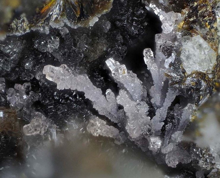 champ 1,4mm Phosphosiderite - Collioure - Massif des Albères -Pyrénées Orientales champ 1,4.jpg