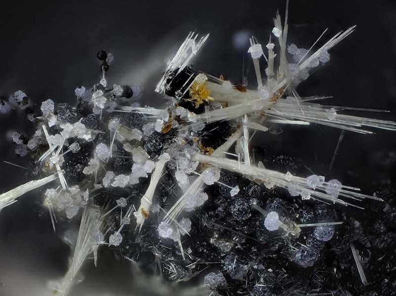 champ 1,7mm Strunzite Phosphosiderite Eleonorite - Collioure - Pyrénées Orientales champ 1,7.jpg