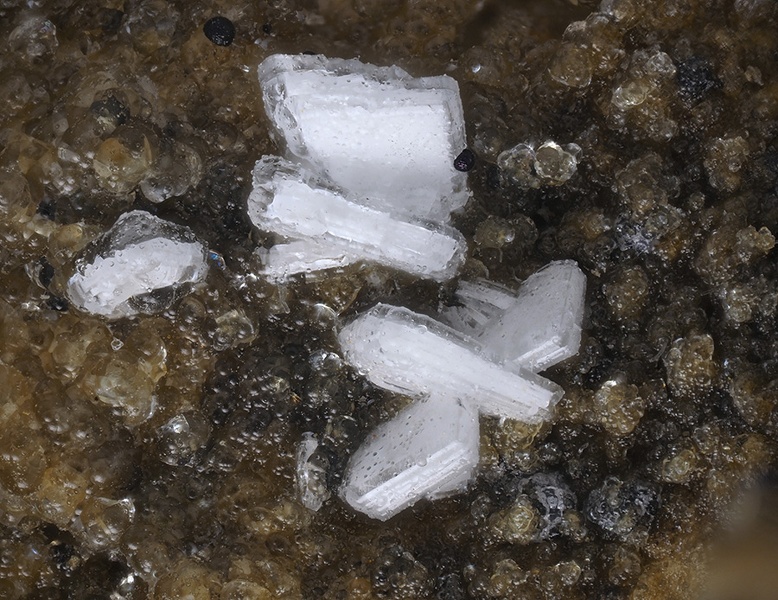 Lanthanite-(Ce) Allophane - Mosset - Prades - Pyrénées-Orientales champ 3,8.jpg