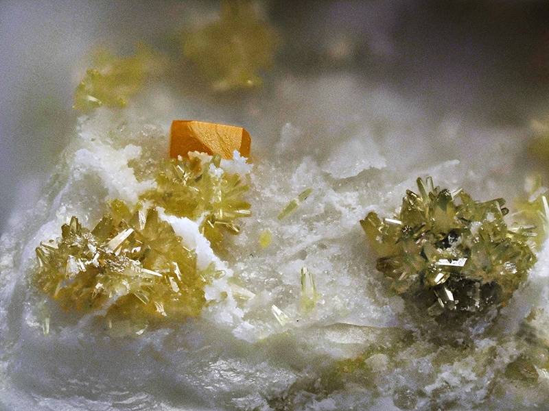 Wulfénite Pyromorphite- Croix des Oncins - Monsols - Rhône champ 3.jpg
