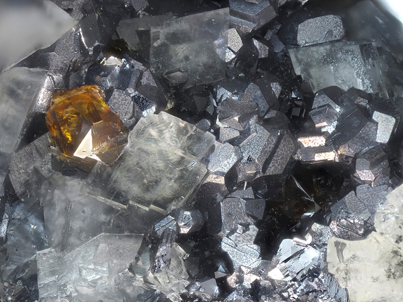 champ 2,4mm Bournonite Sphalerite Dolomite - Les Cèdres - Gard champ 2,4.jpg