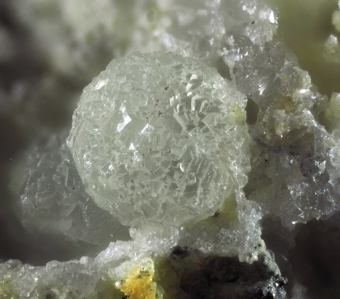 103201 Variscite MM R.V.-Chp 3,7mm-Ph AM.jpg