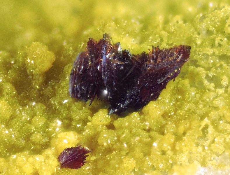 103203 Carminite MM R.V.-Chp2,2mm-Ph AM.jpg