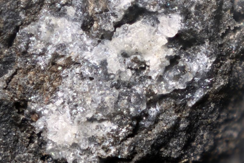 n°197045 - Opale var. Hyalite - Ravine Chaloupe -  la Réunion